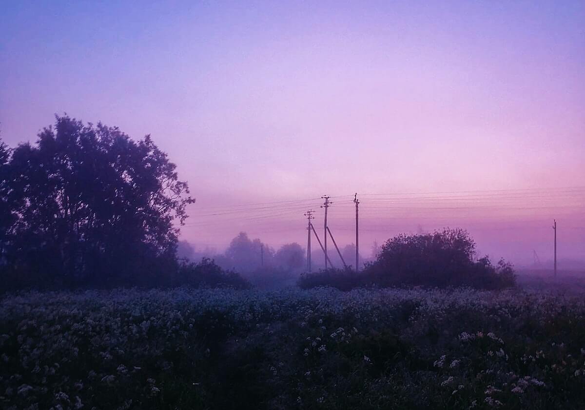世界杯手机直播-二十载浮沉！活塞07-08赛季后首次取得中部赛区冠军|底特律活塞队|NBA常规赛|多伦多猛龙队|nba|主帅_新浪体育_新浪新闻